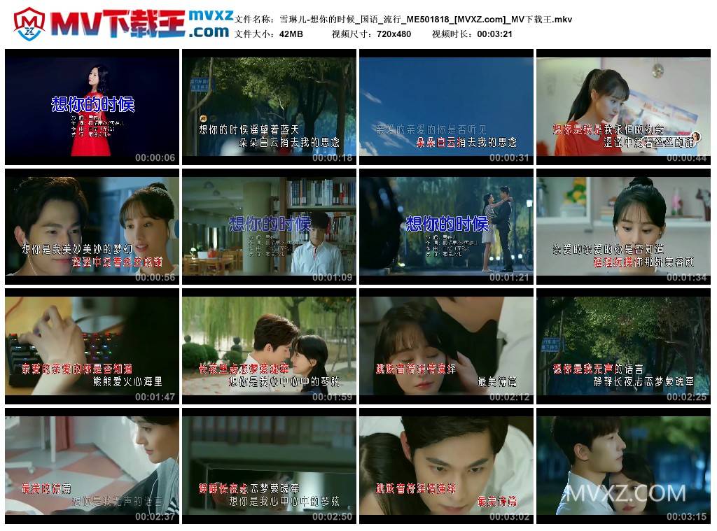 雪琳儿-想你的时候_国语_流行_ME501818